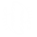 === Project Scorpion ===