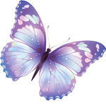Teal butterflies