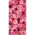 Xx.Rose’s.Clothing.xX