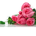 Rosies are red Violets are blue