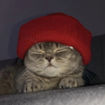 Qourdz
