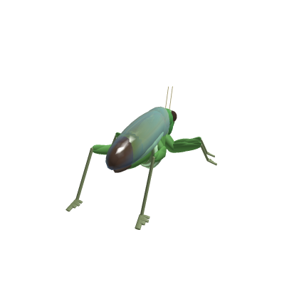 Grasshopper