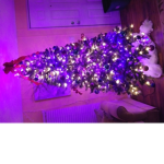 The Christmas treess
