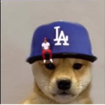 dababy doge