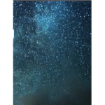 Followers Of The Stars