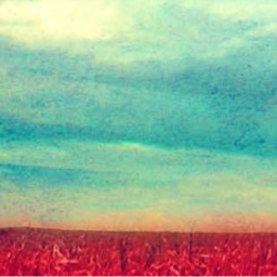 of ✲❋⋆