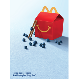climb the ladders to MCdonalds