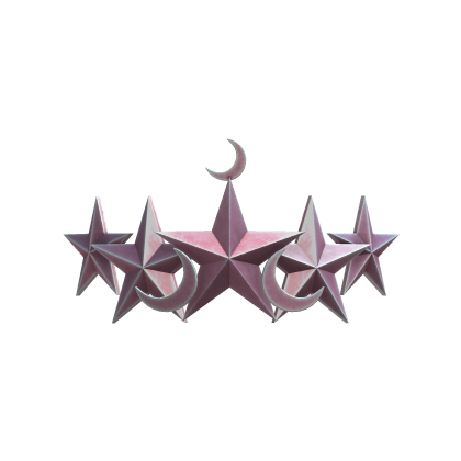 Pink Star Crown Roblox NoFilter