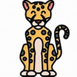 Cheetah talk show