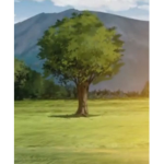 Rustic Studios