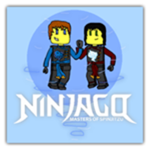 Ninjago Ninja's Group