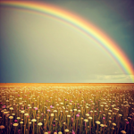 Rainbow Helpers