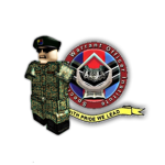 SAF Specialist and Warrant Officer Institute