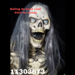 The Creep Show