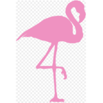 Flamingò Café