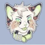 Ali cats