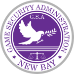 G.S.A | Game Security Administration