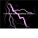 Sword art online Voltz Official Guild