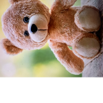 TheTeddyBearSquad