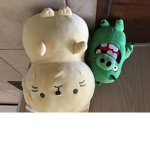The cat and pig group