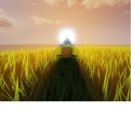 Sun Set