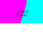 Da Boiz is swag