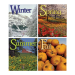 •~seasons~•