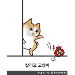 칼리코 고양이