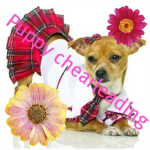 Puppy Chearleaders
