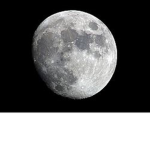 No pappa