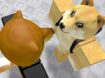 Club of the doges