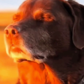 Check if a User is Banned