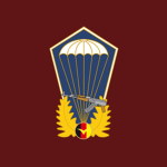 [D] 40th Air Assault Regiment "Willi Sänger"