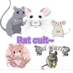 The True Rat kingdom (The Home To All Rats)