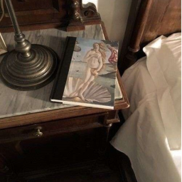 ＊