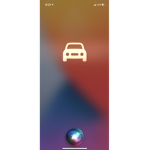Free Fire IV