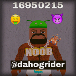 Daahogriders