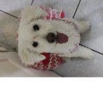Roblox y el perro
