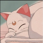 Meowwww.