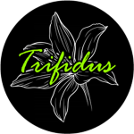 Studio Trifidus