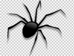 Spider Avengers!!