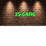 z5.Gang