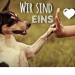 Gegen Tier Quälerei!