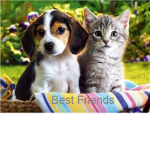 Best Friends & Family