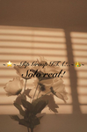 ~...~..Rp Group ITA!..~..~