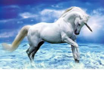 Unicorn Squad for people