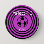 Ya Tect FC