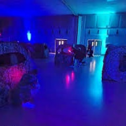 LASER DAYS
