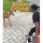 muda muda muda MUDA
