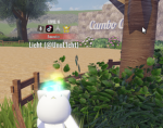 Cambo Camp